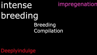 BREEDING COMPILATION/ BREEDING KINK 1 HOUR LONG AUDIO PORN/ IMPREGENATION KINK/ CREAMP PIE ASMR